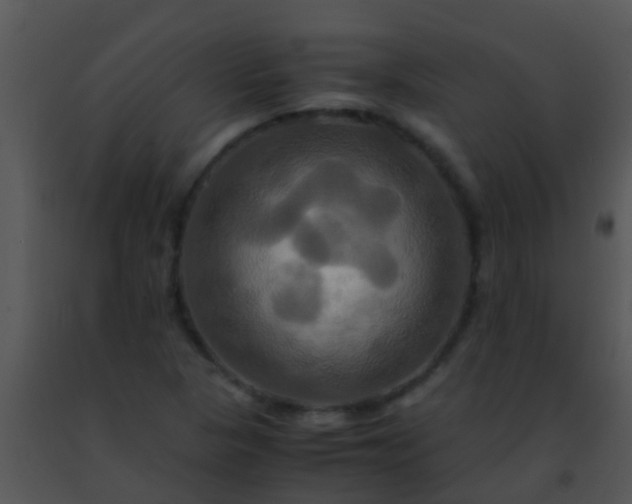 X0000091501313200708301949