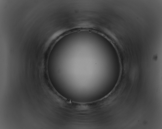 X0000091501315200708301949