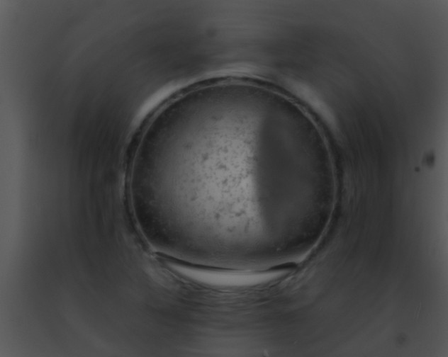 X0000091501316200708301949