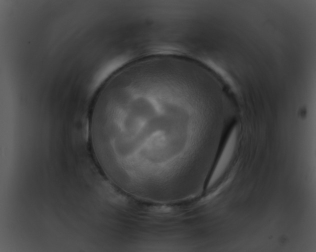 X0000091501317200708301949