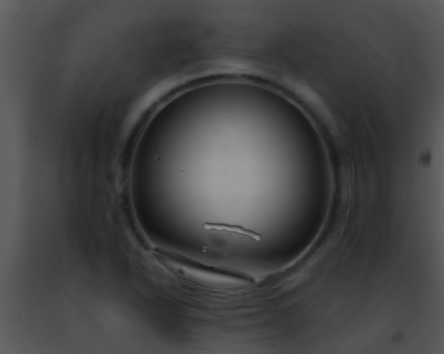 X0000091501318200708301949