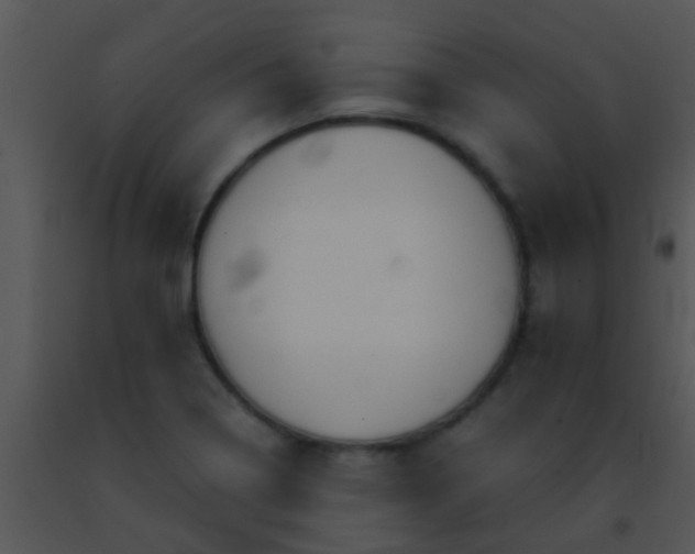 X0000091501322200708301949