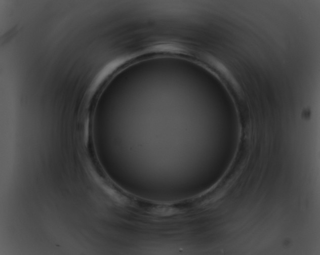 X0000091501323200708301949