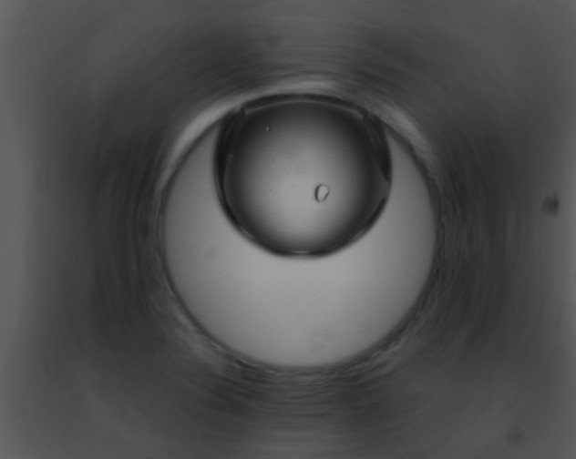 X0000091501324200708301949