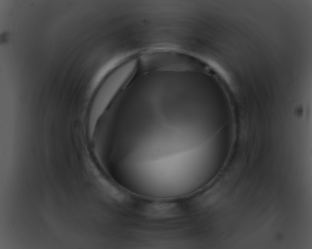 X0000091501325200708301949