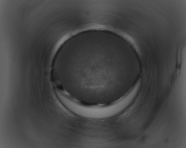 X0000091501326200708301949