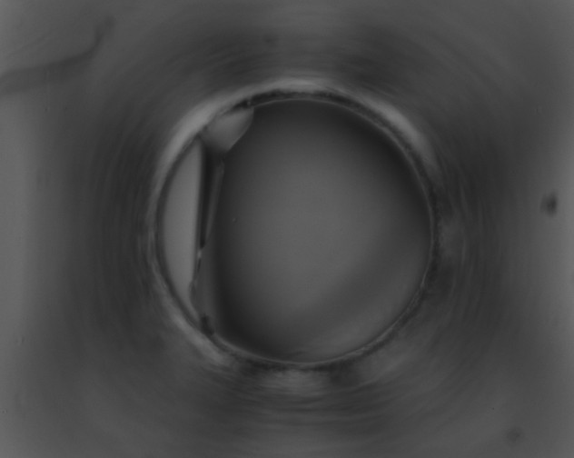 X0000091501327200708301949