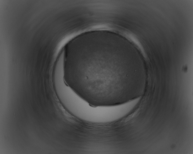 X0000091501328200708301949