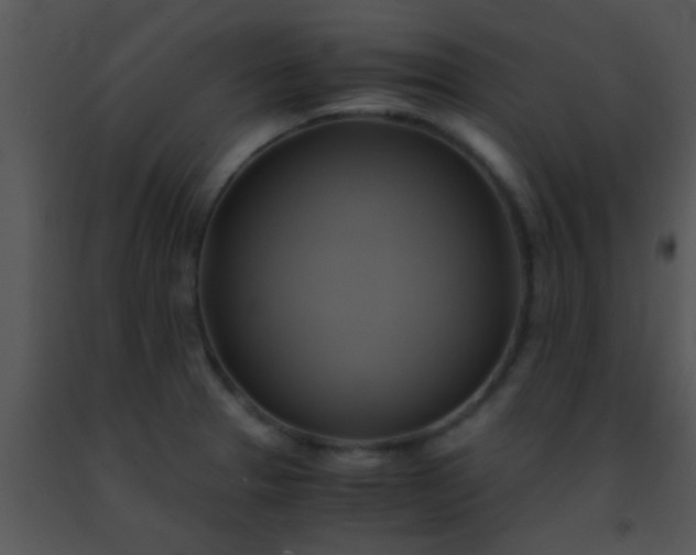 X0000091501329200708301949