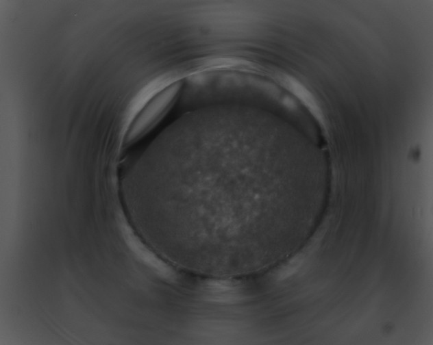 X0000091501330200708301949