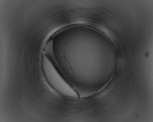 X0000091501331200708301949