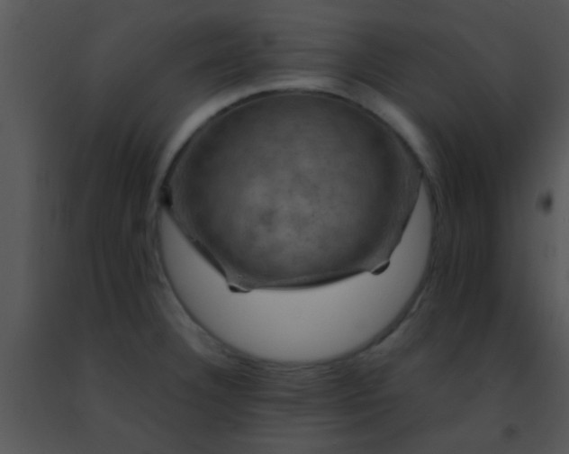 X0000091501332200708301949