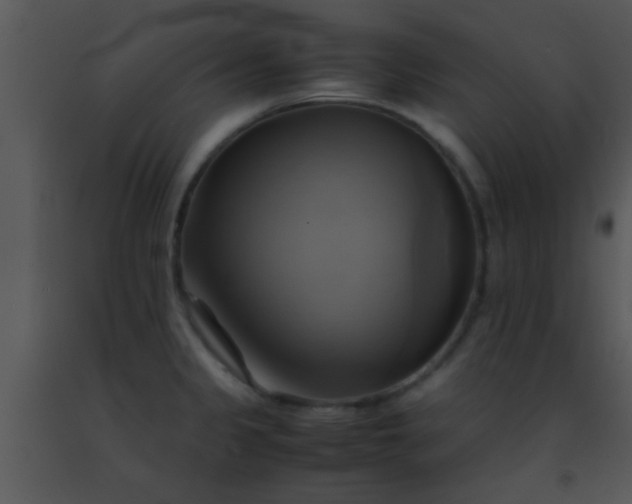 X0000091501333200708301949