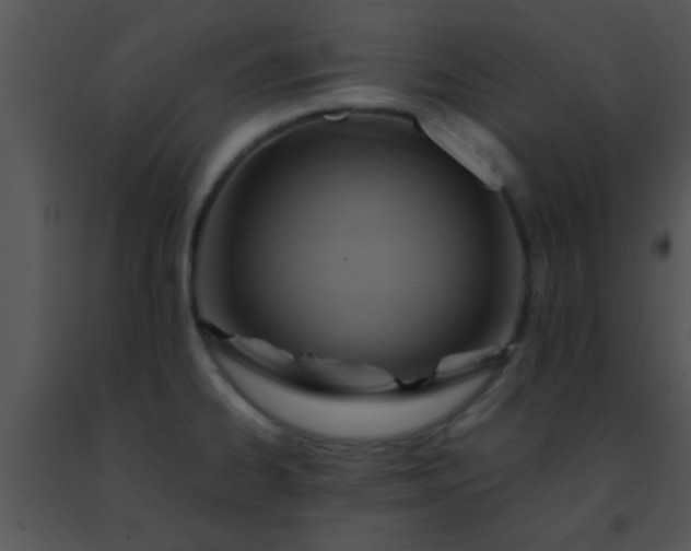 X0000091501334200708301949