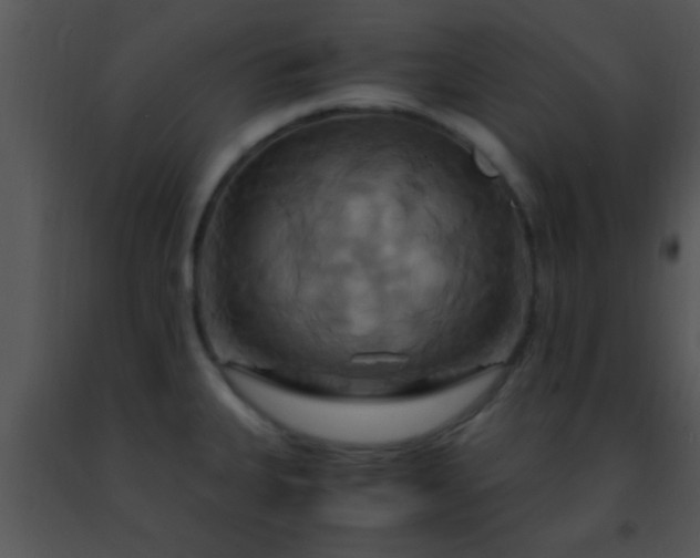 X0000091501335200708301949