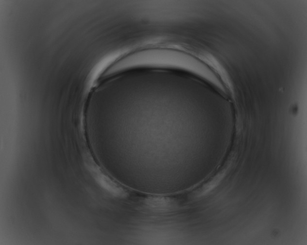 X0000091501336200708301949