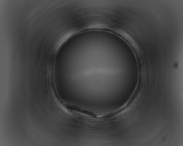 X0000091501337200708301949