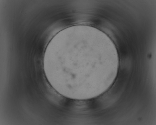 X0000091501338200708301949