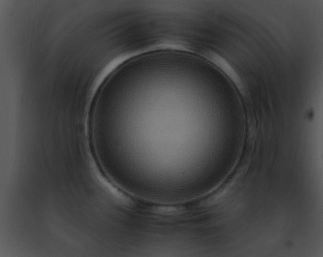 X0000091501339200708301949