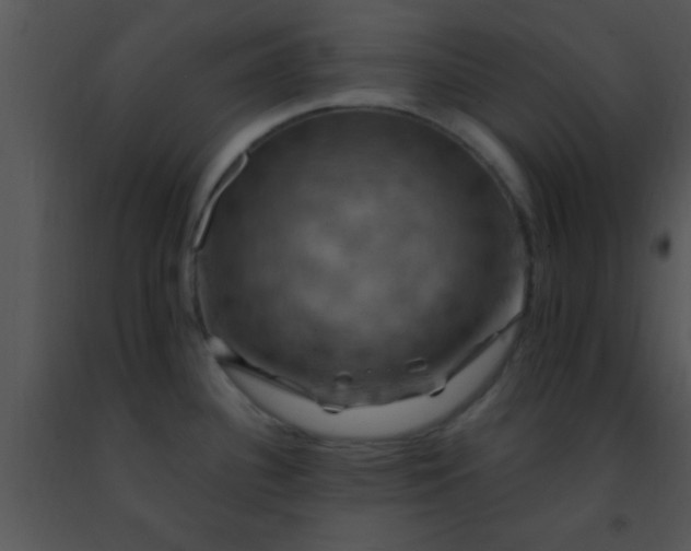 X0000091501340200708301949