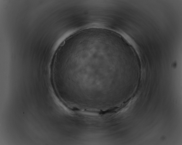 X0000091501341200708301949