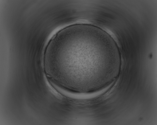 X0000091501342200708301949