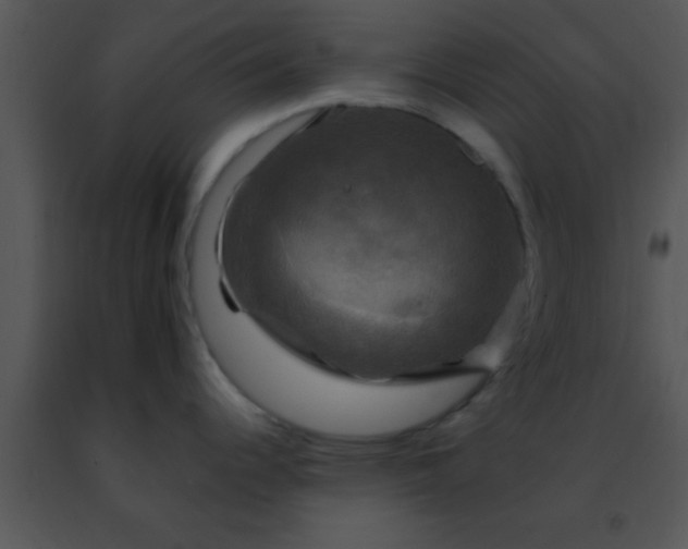 X0000091501344200708301950