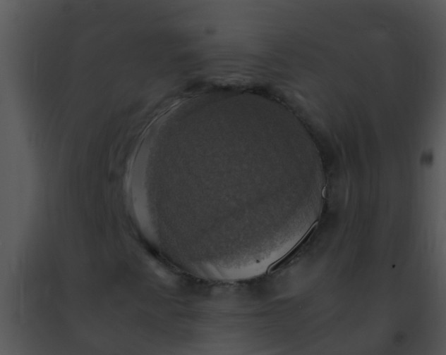 X0000091501345200708301949