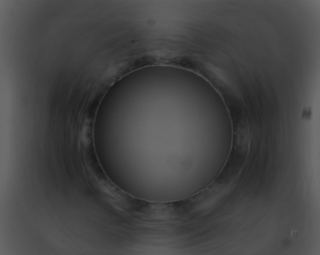 X0000091501346200708301949