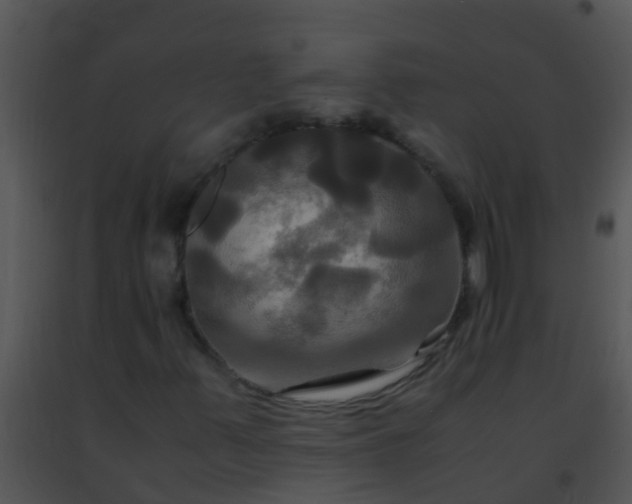 X0000091501347200708301949