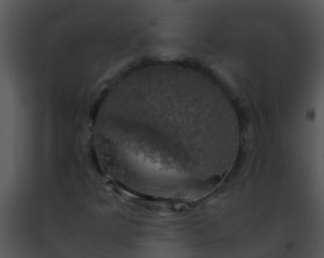 X0000091501349200708301949