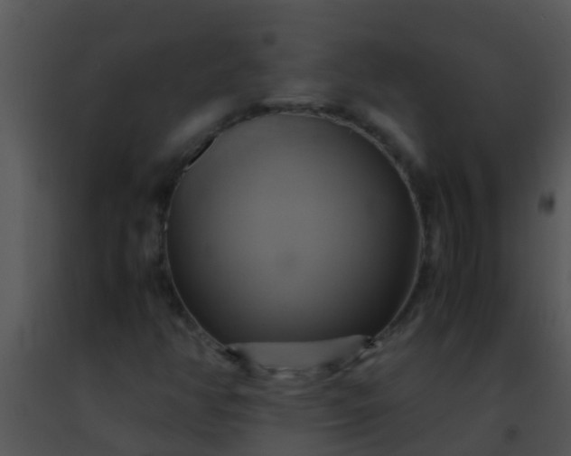 X0000091501350200708301949