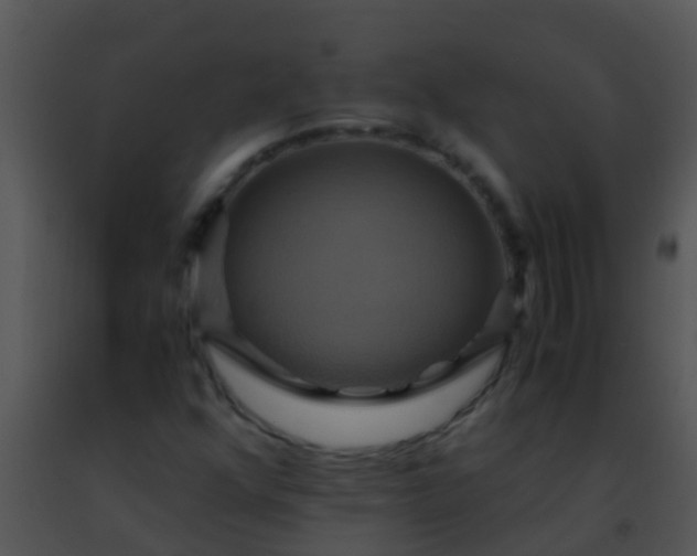 X0000091501352200708301949