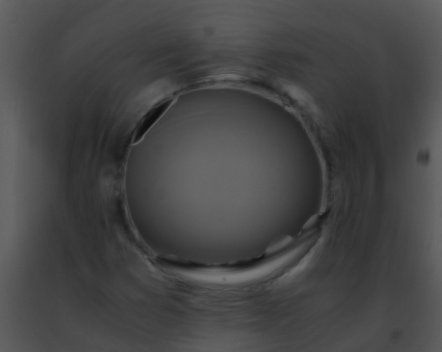 X0000091501353200708301949