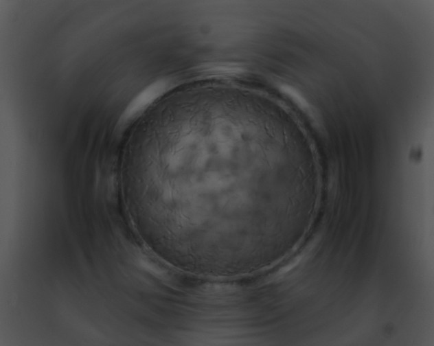 X0000091501354200708301949