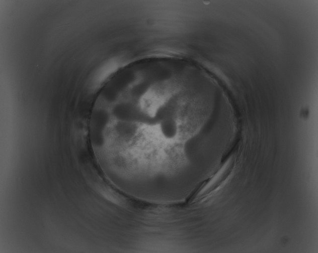 X0000091501355200708301949