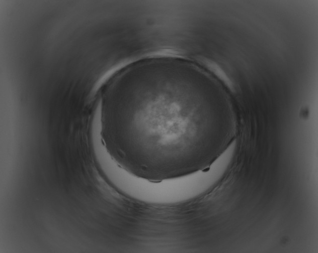 X0000091501356200708301949