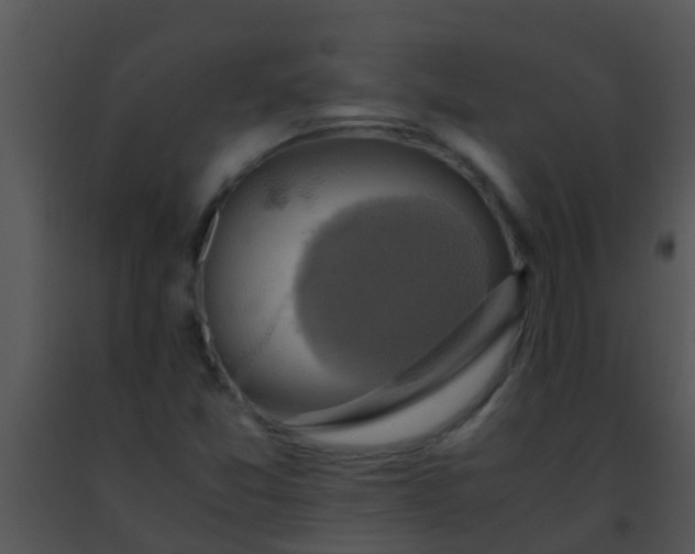 X0000091501357200708301949