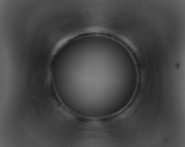 X0000091501358200708301948