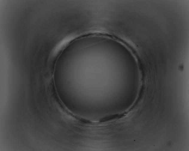 X0000091501359200708301948