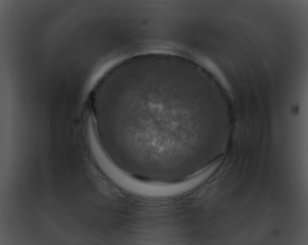 X0000091501360200708301948