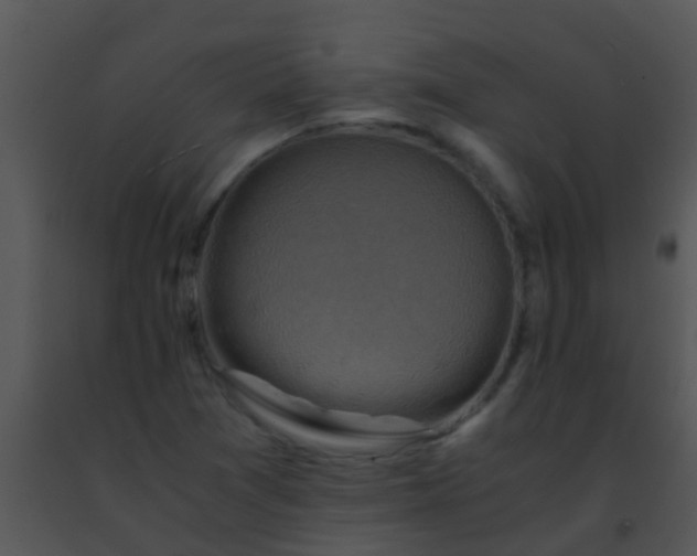 X0000091501361200708301948