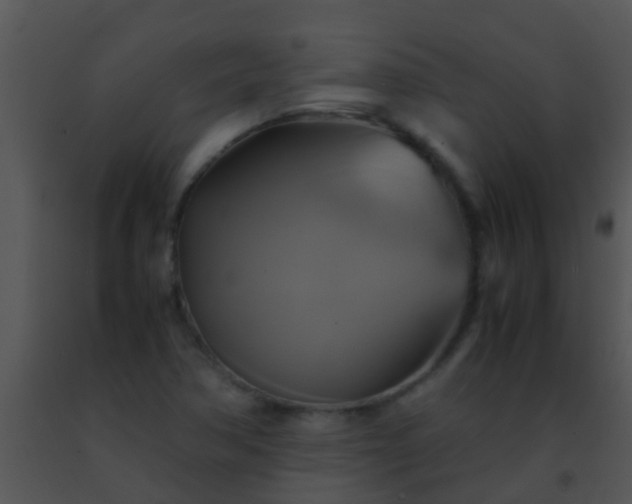 X0000091501362200708301948