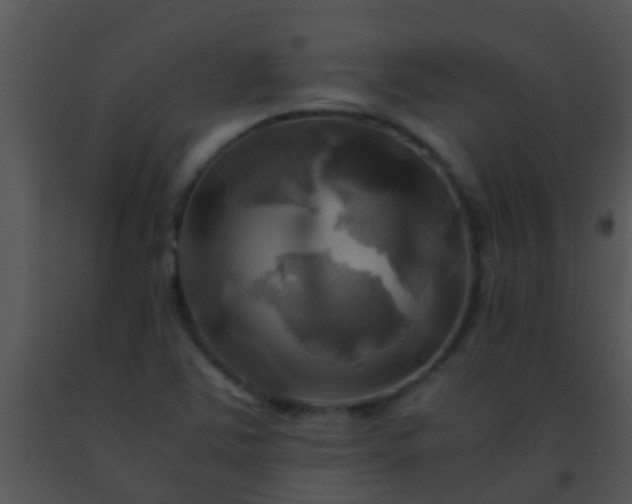 X0000091501363200708301948