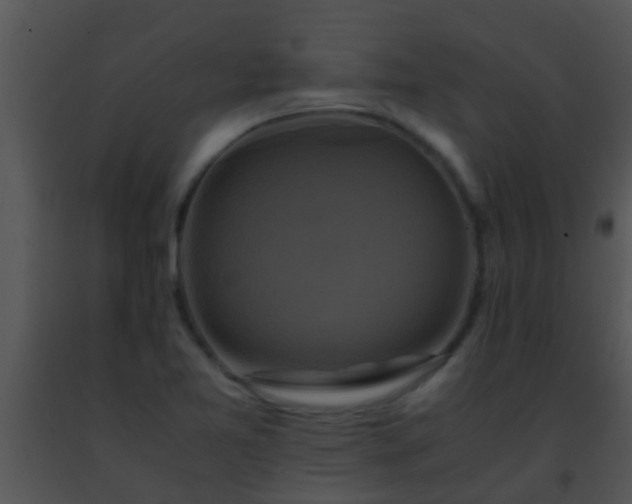 X0000091501365200708301948