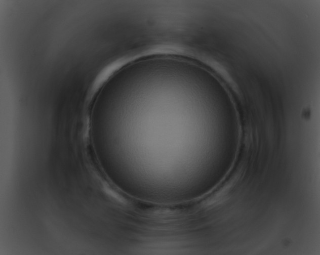 X0000091501366200708301948