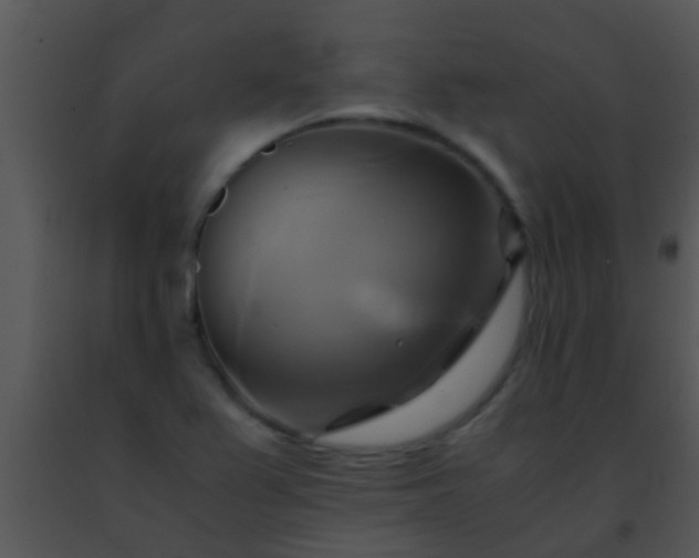 X0000091501367200708301948