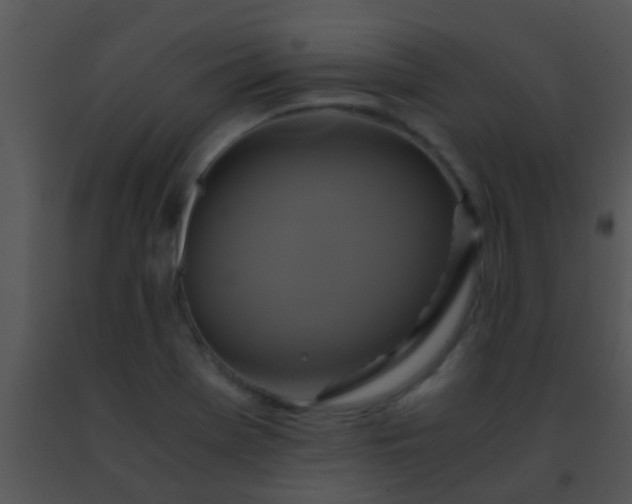 X0000091501369200708301948