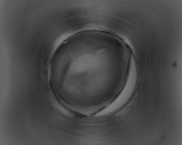 X0000091501371200708301948