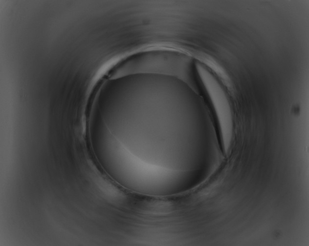 X0000091501372200708301948